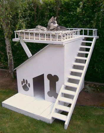 двухэтажный дом для собаки