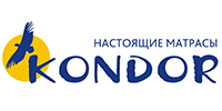 Logo kondor 2