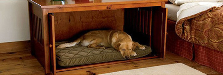 Furniture for pets 02