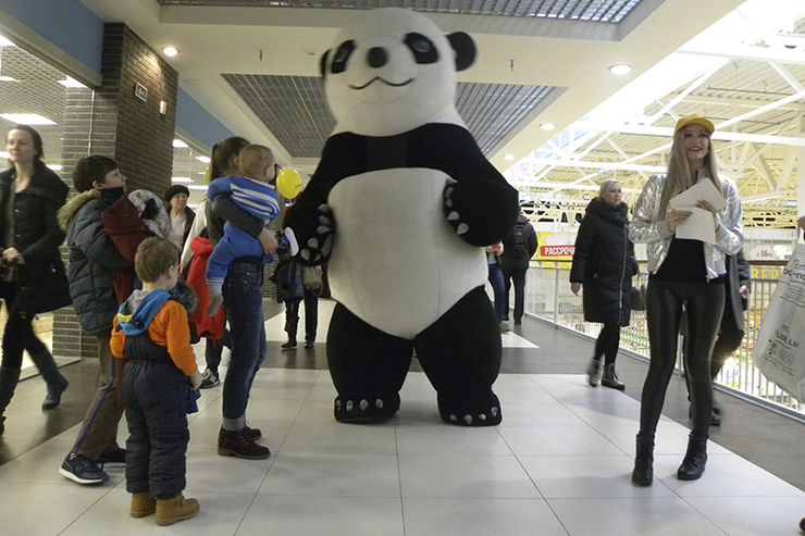 медведь мебель реклама 