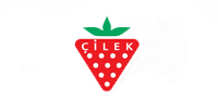 Cilek logo h
