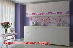 %d0%9a%d1%83%d1%85%d0%bd%d1%8f %c2%ab%d0%9e%d0%bb%d1%8c%d0%b3%d0%b0%c2%bb %d1%81%d0%b0%d0%ba%d1%83%d1%80%d0%b0