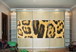 Shkaf kupe s leopardovym printom