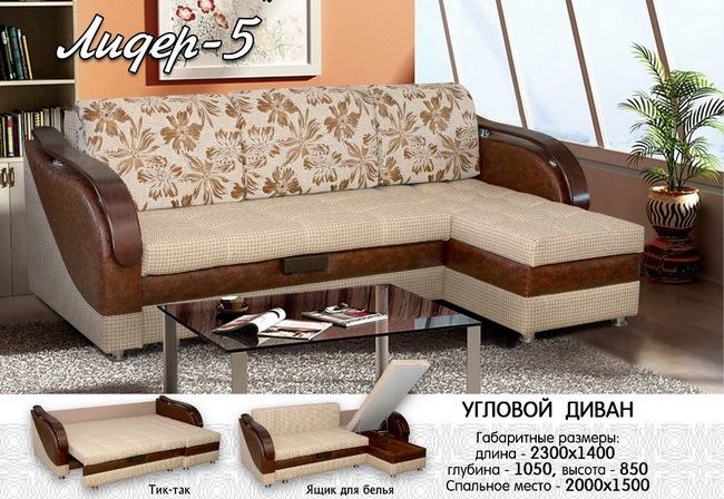 %d0%9b%d0%b8%d0%b4%d0%b5%d1%80 5