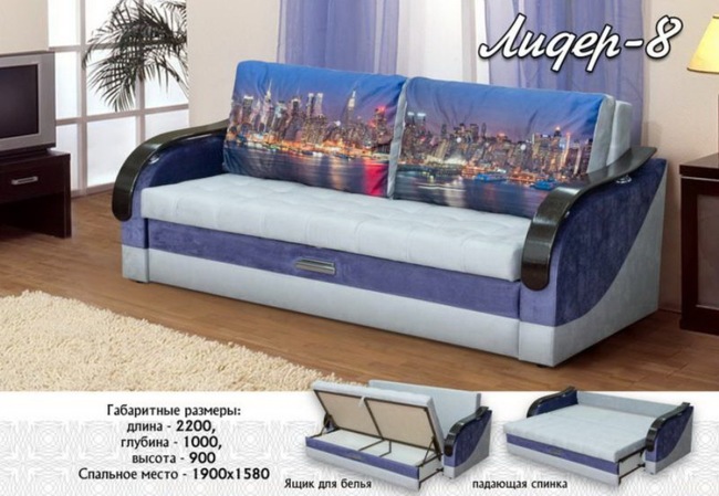 %d0%9b%d0%b8%d0%b4%d0%b5%d1%80 8%281%29