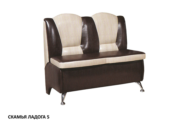 Skamya ladoga 5