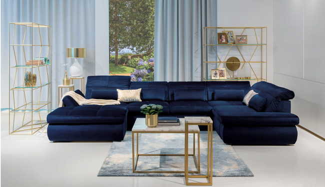 X071 ortensja vero5827