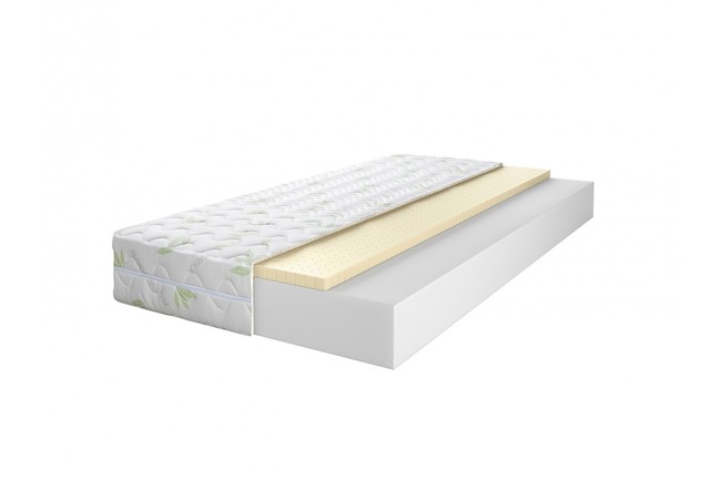 Concept02aloevera 1500x1000