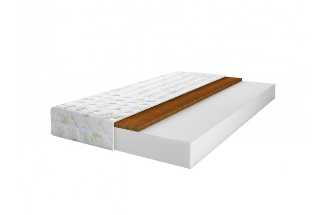 Soncept06aloevera 1500x1000