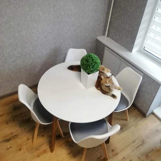 Img 20210628 105307 879