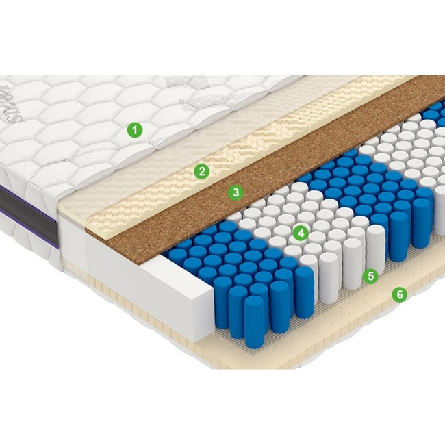 Matras vegas factor 1000x1000