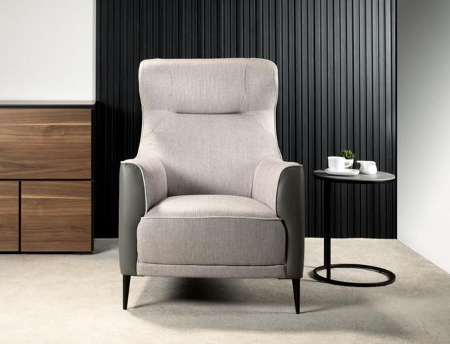 Violino szary header2