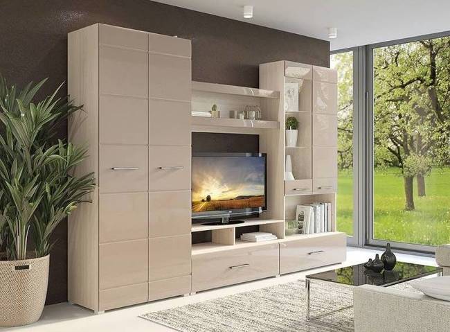 Gostinaja vegas 1 dub sonoma kapuchino gljanec 800x800