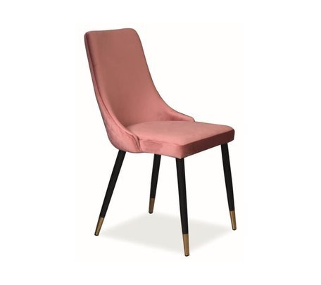 Piano rozovyi 456x405 d56