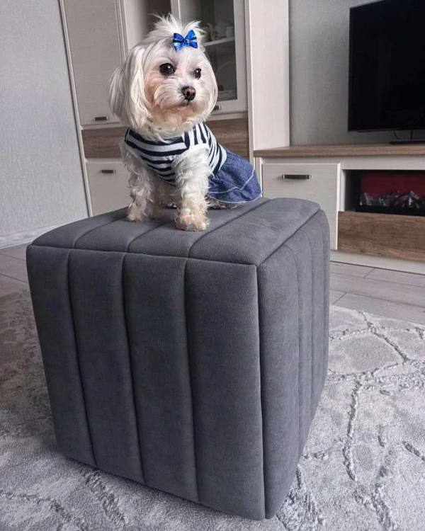 Photo 2025 03 12 14 21 20