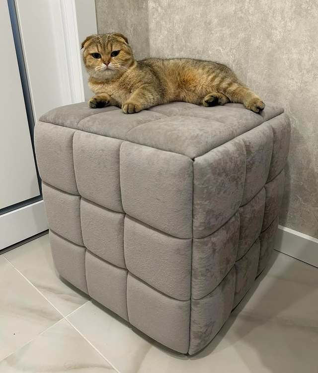 Photo 2026 02 17 12 27 39 %283%29