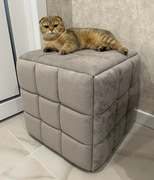 Photo 2026 02 17 12 27 39 %283%29