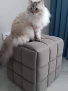 557637390 18016851263786405 1056289961014927588 n