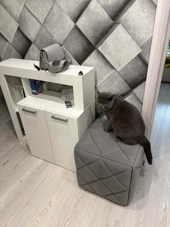 Photo 2026 02 17 14 12 42