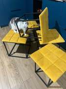 Photo 2026 02 17 14 13 51