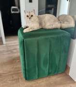 Photo 2026 02 17 14 32 36