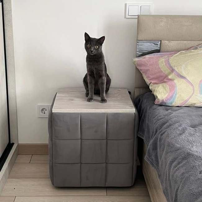 Photo 2026 02 17 14 35 17