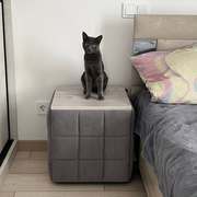 Photo 2026 02 17 14 35 17