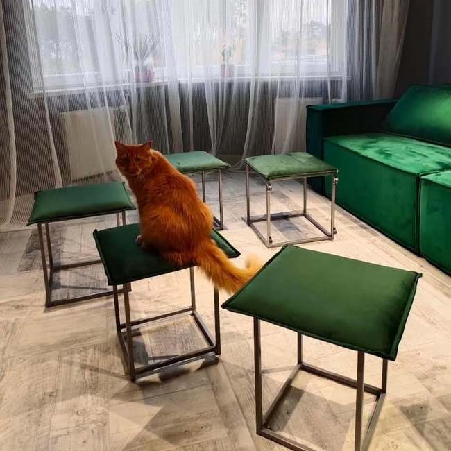 Photo 2026 02 17 14 53 55 %282%29