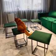 Photo 2026 02 17 14 53 55 %282%29