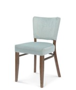 Tulip 1